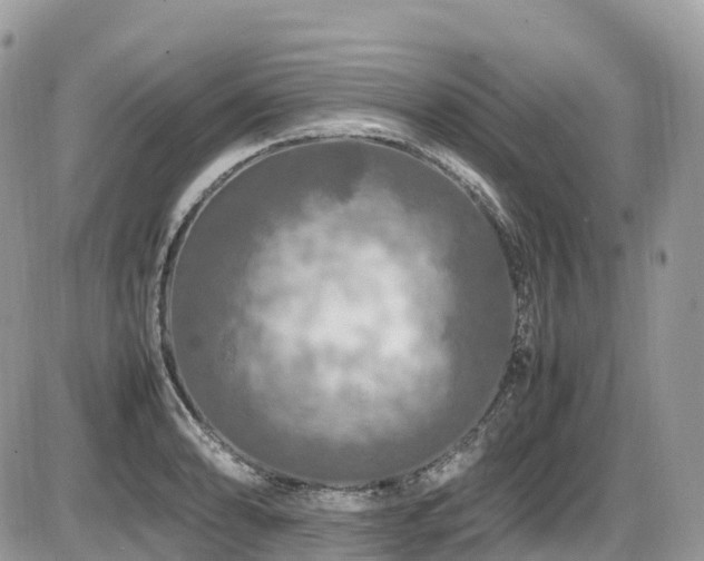 X0000087421086200704201420