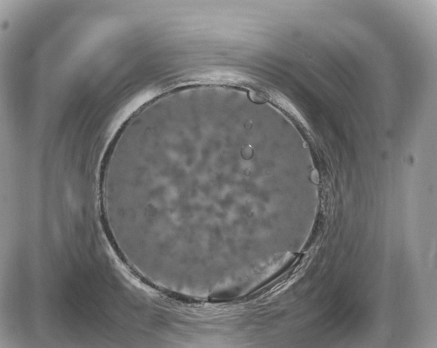 X0000087421087200704201420