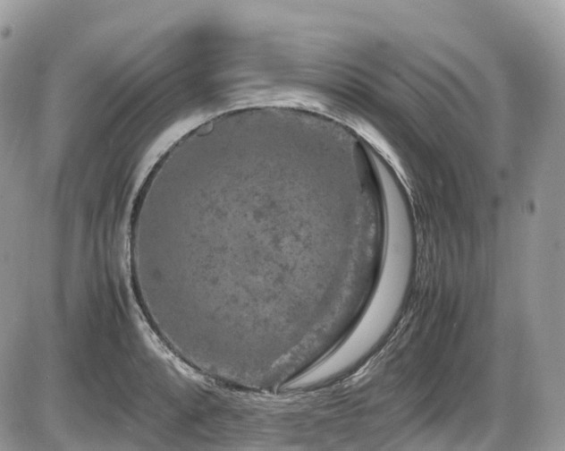 X0000087421088200704201420