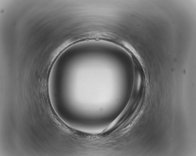 X0000087421089200704201420