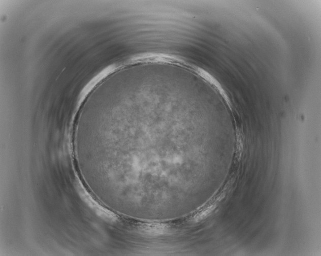 X0000087421090200704201420