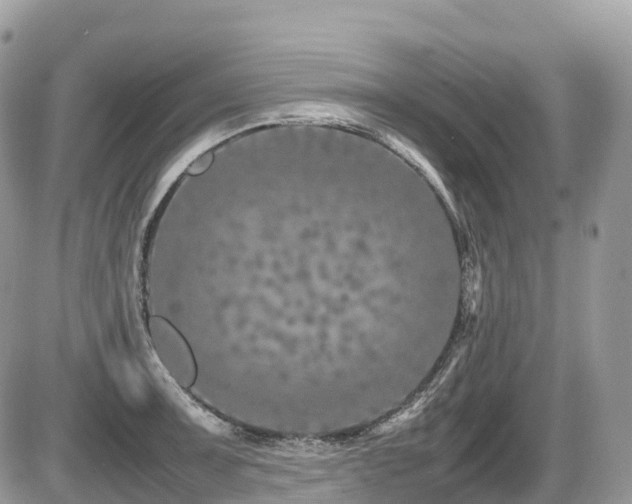 X0000087421091200704201420