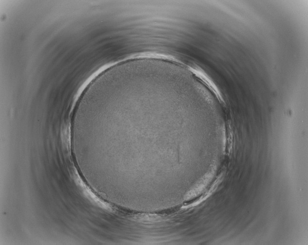 X0000087421092200704201420