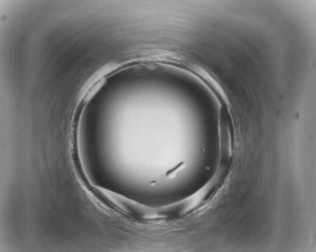 X0000087421093200704201420