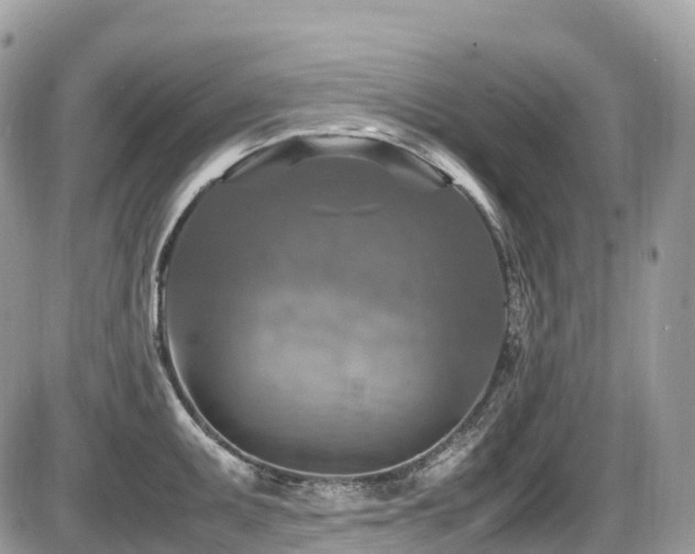 X0000087421095200704201420