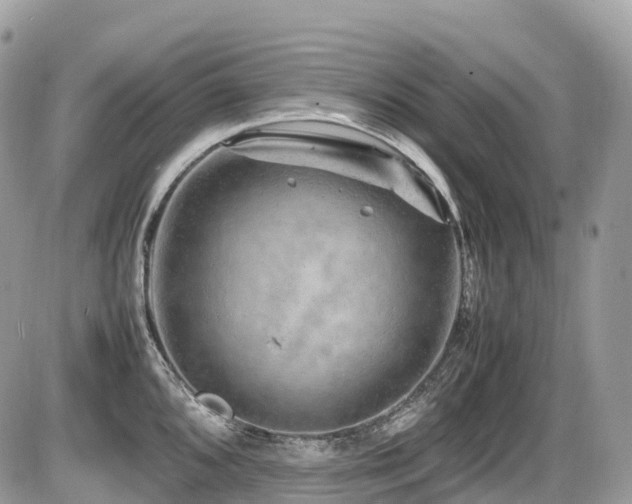 X0000087421096200704201420