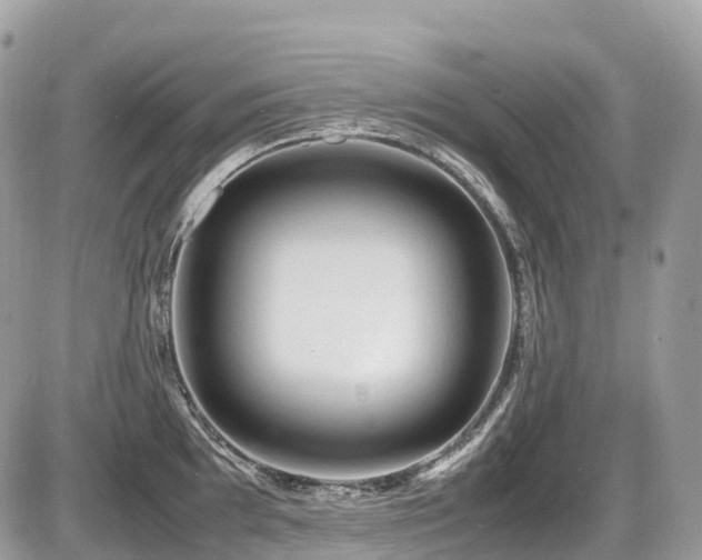 X0000087421097200704201420