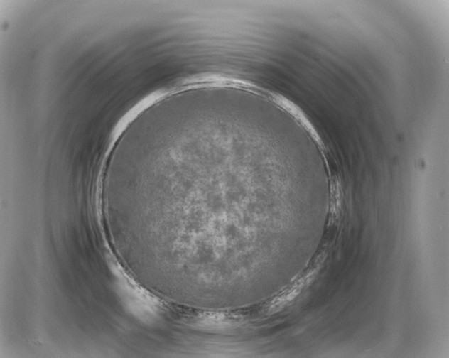 X0000087421098200704201420