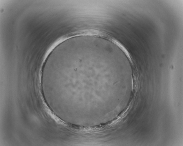 X0000087421099200704201419