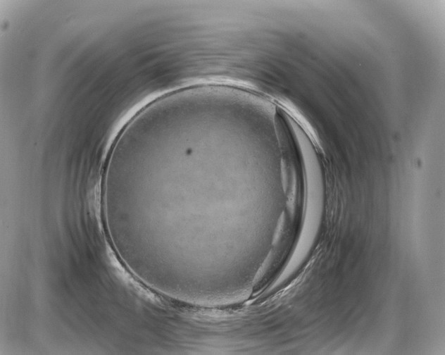 X0000087421100200704201419