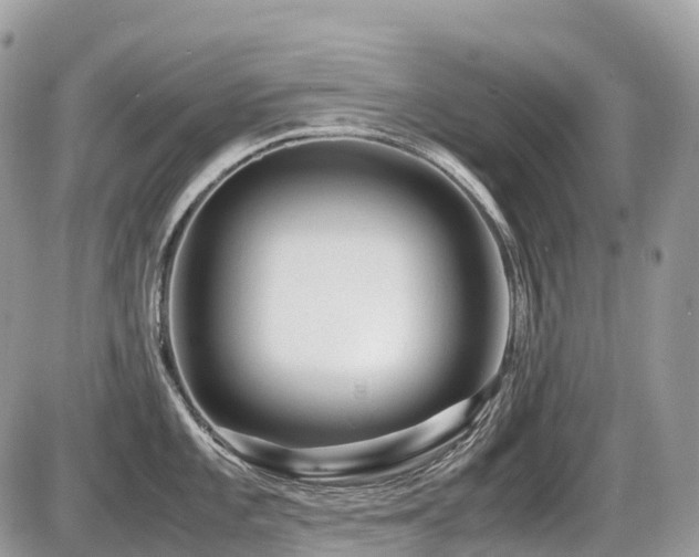 X0000087421101200704201419