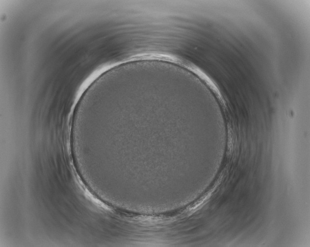 X0000087421102200704201419