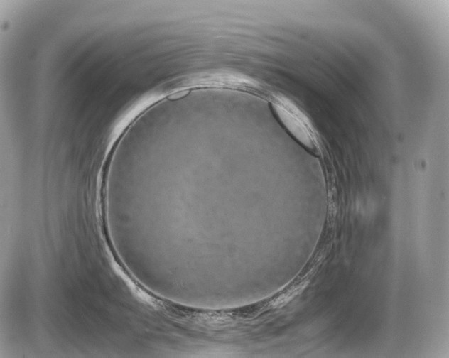 X0000087421103200704201419