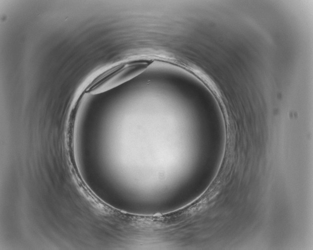 X0000087421104200704201419