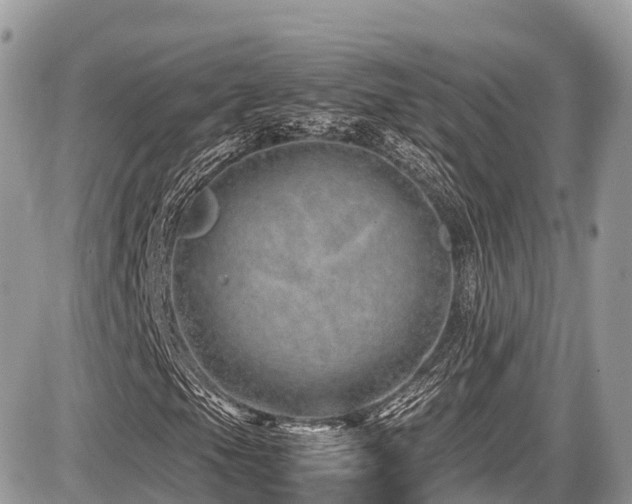 X0000087421105200704201419