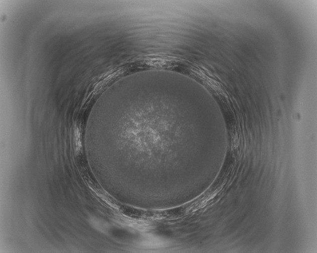 X0000087421106200704201419