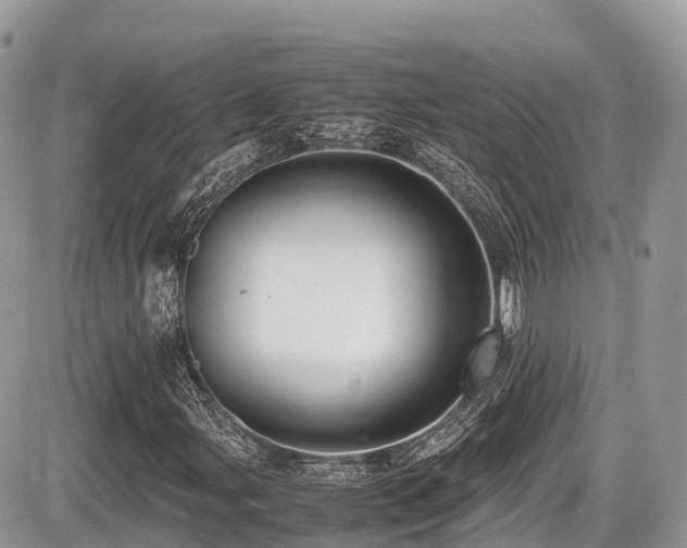 X0000087421107200704201419