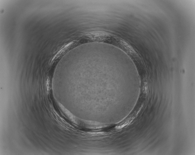 X0000087421108200704201419