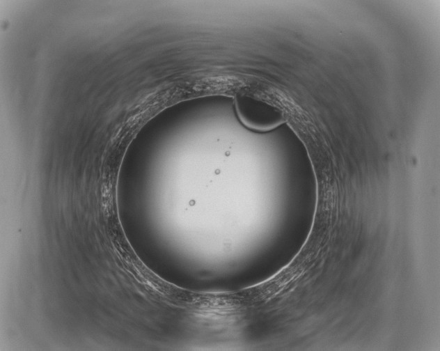 X0000087421109200704201419