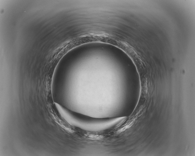 X0000087421110200704201419