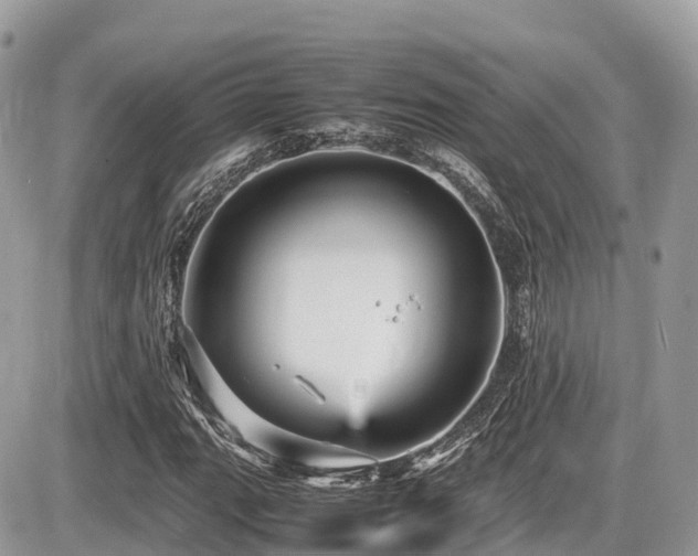 X0000087421111200704201419