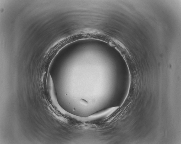 X0000087421112200704201419