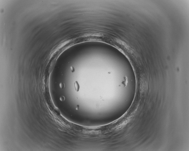 X0000087421113200704201419