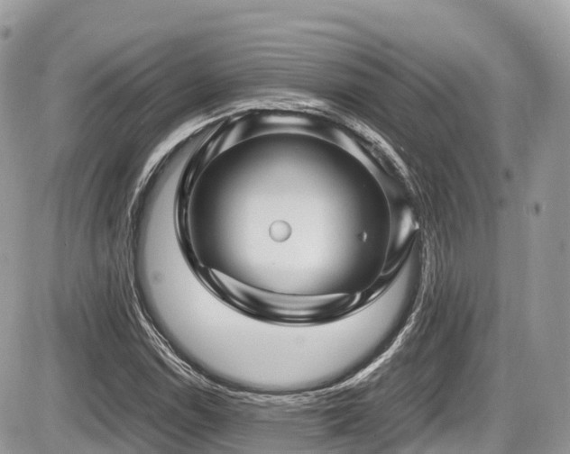 X0000087421114200704201419