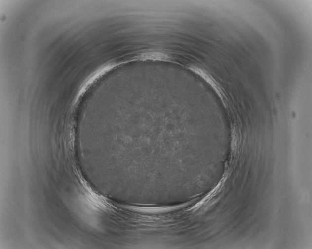 X0000087421115200704201419