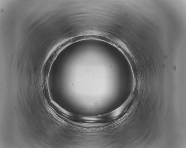 X0000087421116200704201419