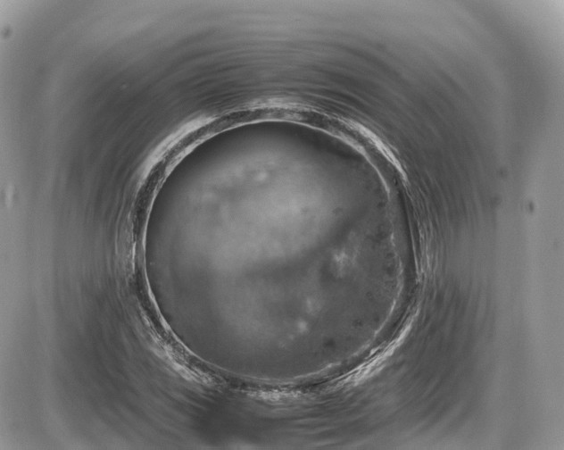 X0000087421117200704201419