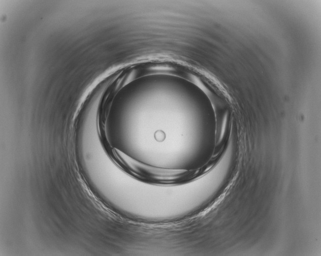 X0000087421118200704201419