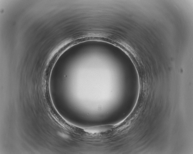 X0000087421119200704201419