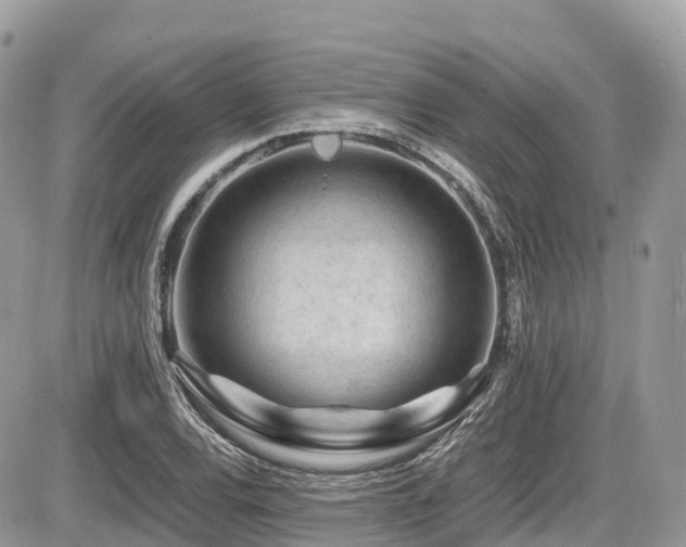 X0000087421120200704201419