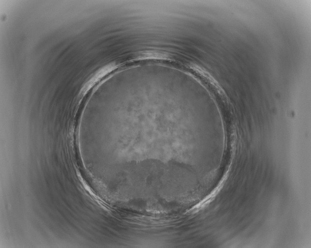 X0000087421121200704201419