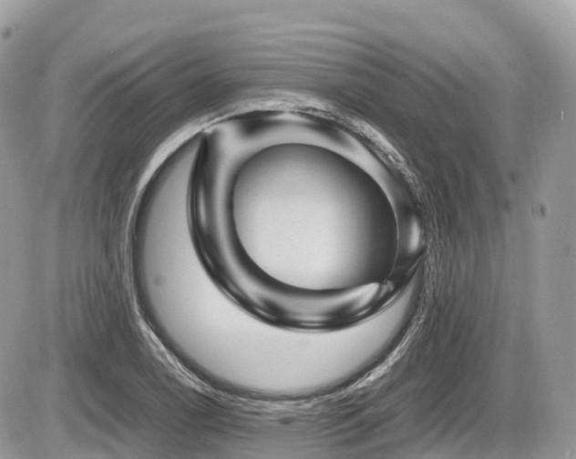 X0000087421122200704201419