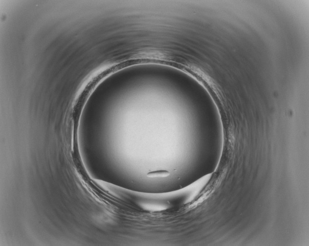 X0000087421123200704201419