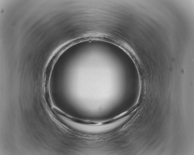 X0000087421124200704201419