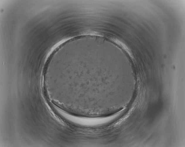 X0000087421125200704201419