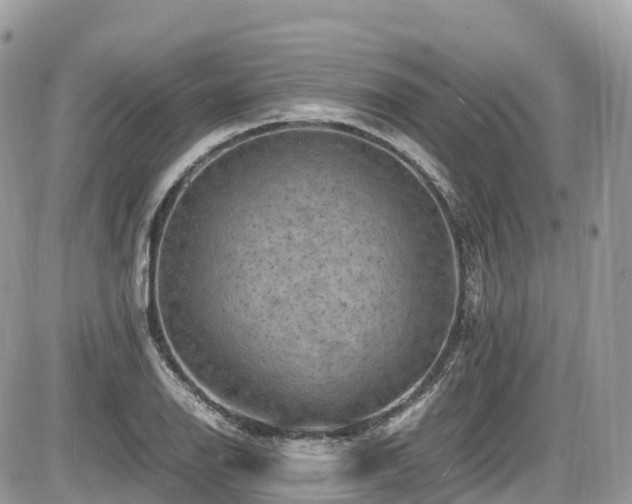 X0000087421126200704201419