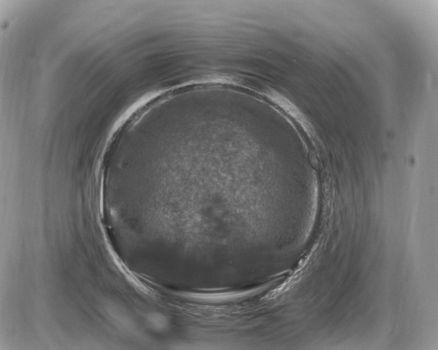 X0000087421127200704201419