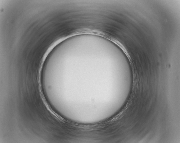 X0000087421128200704201419