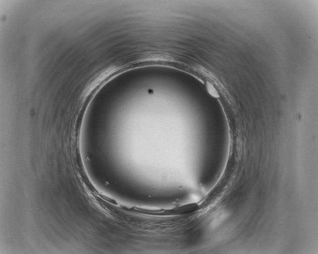 X0000087421129200704201419