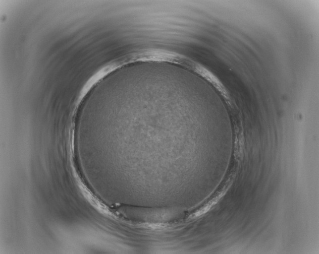 X0000087421130200704201419