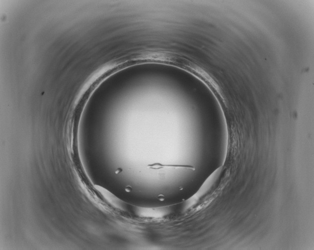 X0000087421131200704201419