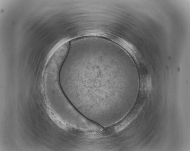 X0000087421132200704201419