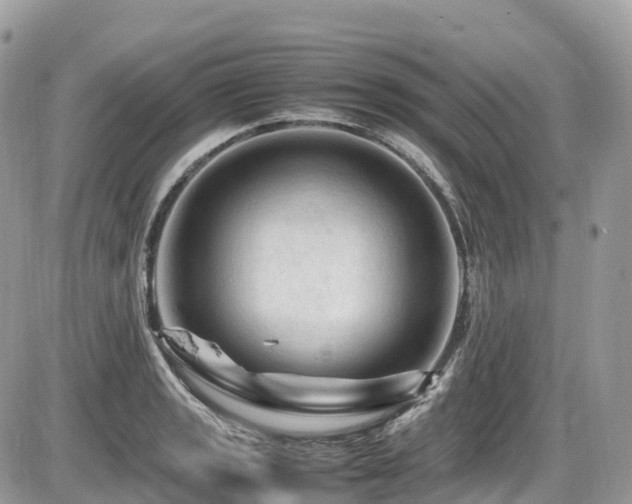 X0000087421133200704201419