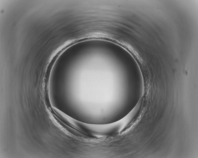 X0000087421134200704201419