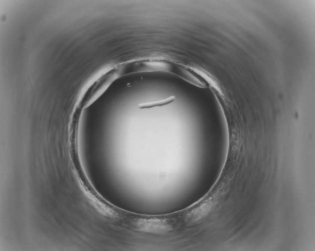 X0000087421135200704201419