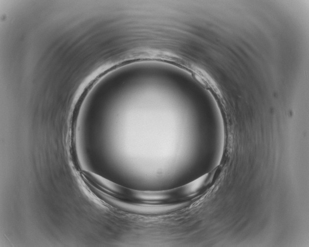 X0000087421136200704201419